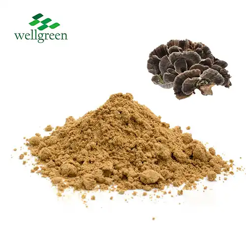 Trametes Versicolor Extract